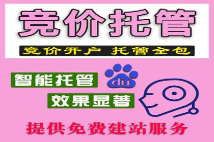 SEM关键词的投放策略与效果评估